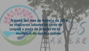 Poda y corte de cesped san luis en febrero 2026